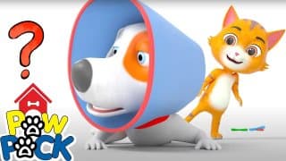 Paw Pack Cartoon : Dog Cone | Comedy Shows for Kids | Funny Videos from Paw Pack